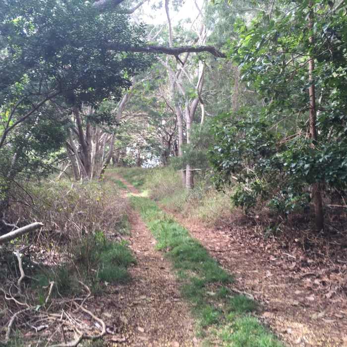 Near Kumuwela Trail