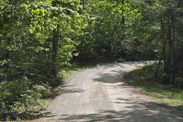 Indian Valley/Arrowhead Trace