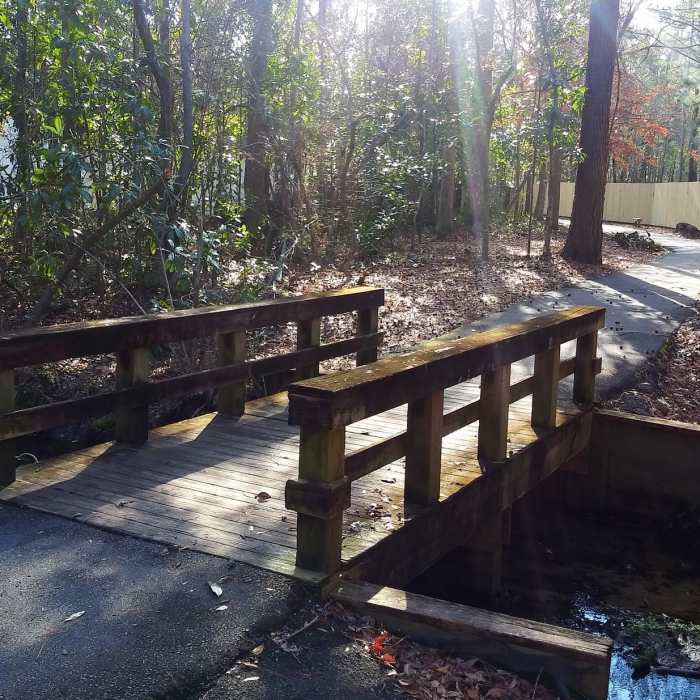 Near Summer Rest Trail