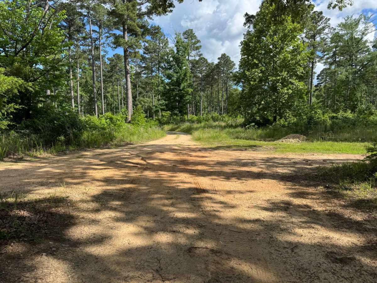 Bee Hollow trail photo