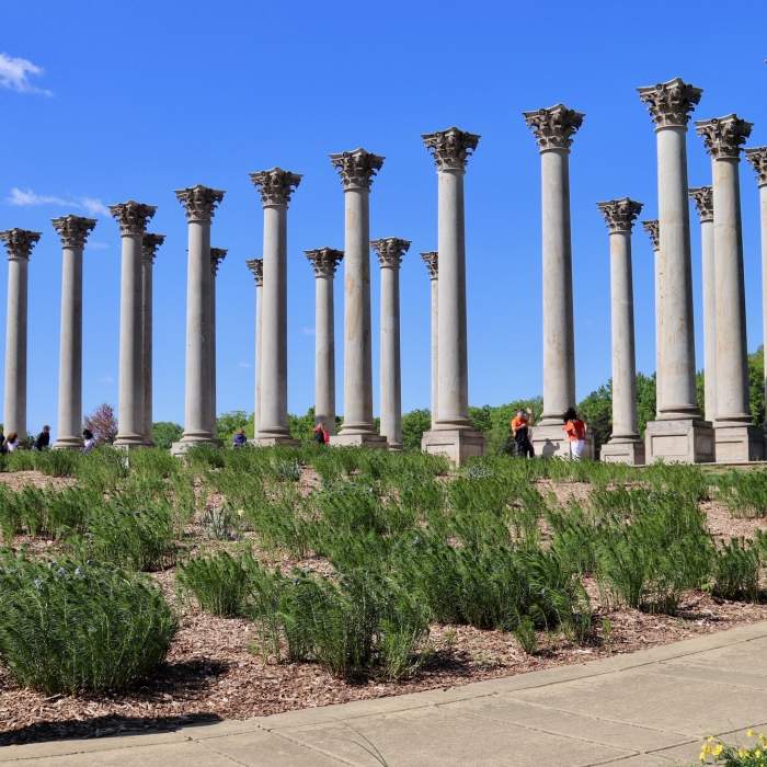 Path to historic Capitol Columns Near National Arboretum Figure-Eight