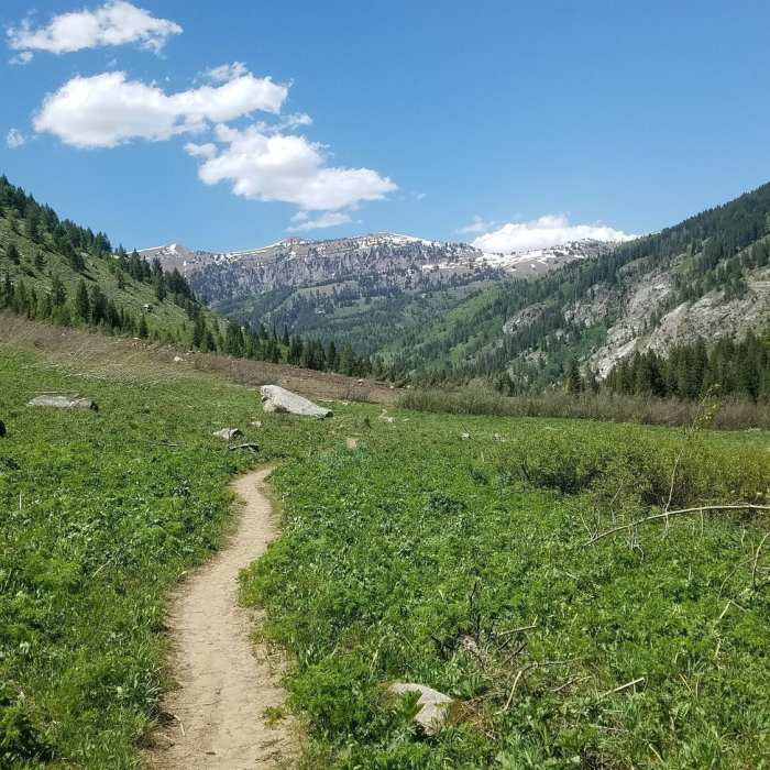 Near Alaska Basin Big Loop