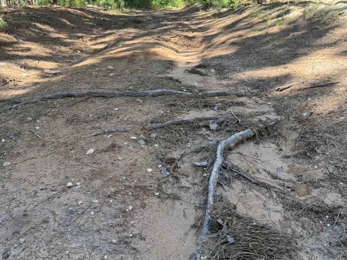 Lumley-Glovers Trail trail photo