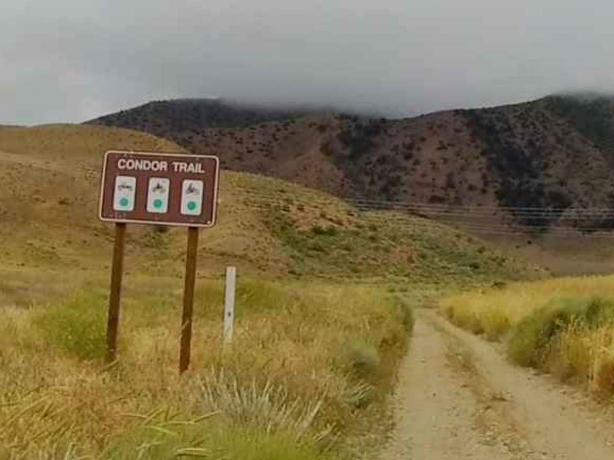 Condor Trail trail photo