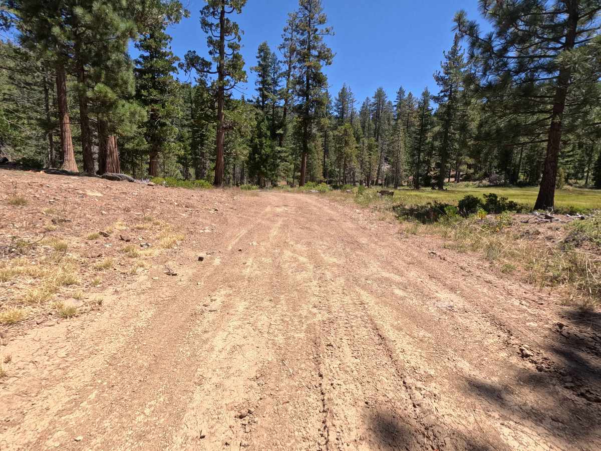 East Cabin Meadow Spur A - FS 41N04A photo 4