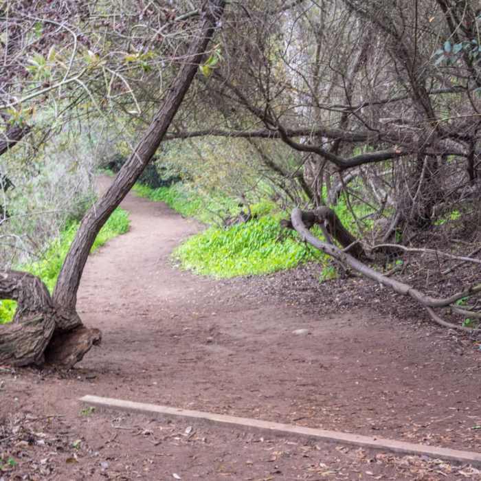 Near Annie's Canyon Trail via North Rios Trail