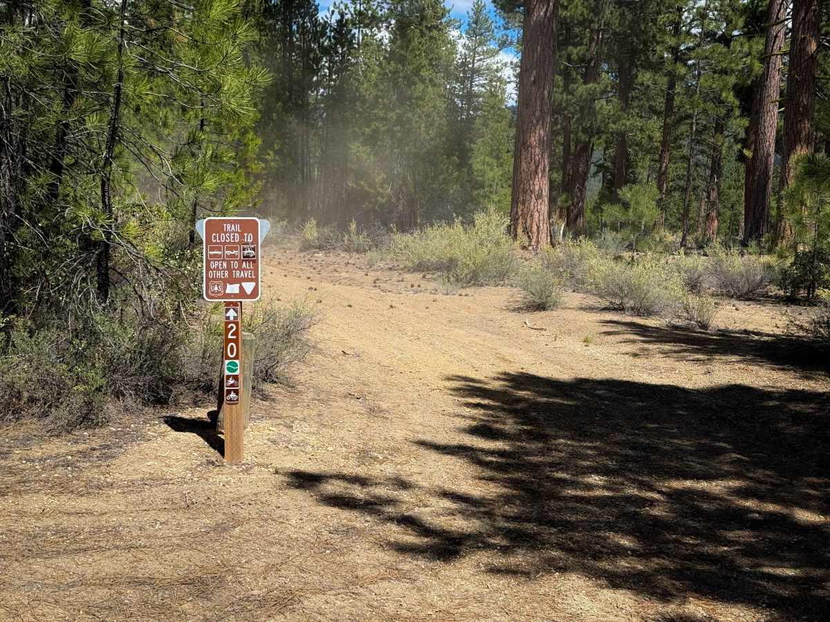 Trail 20  photo 4