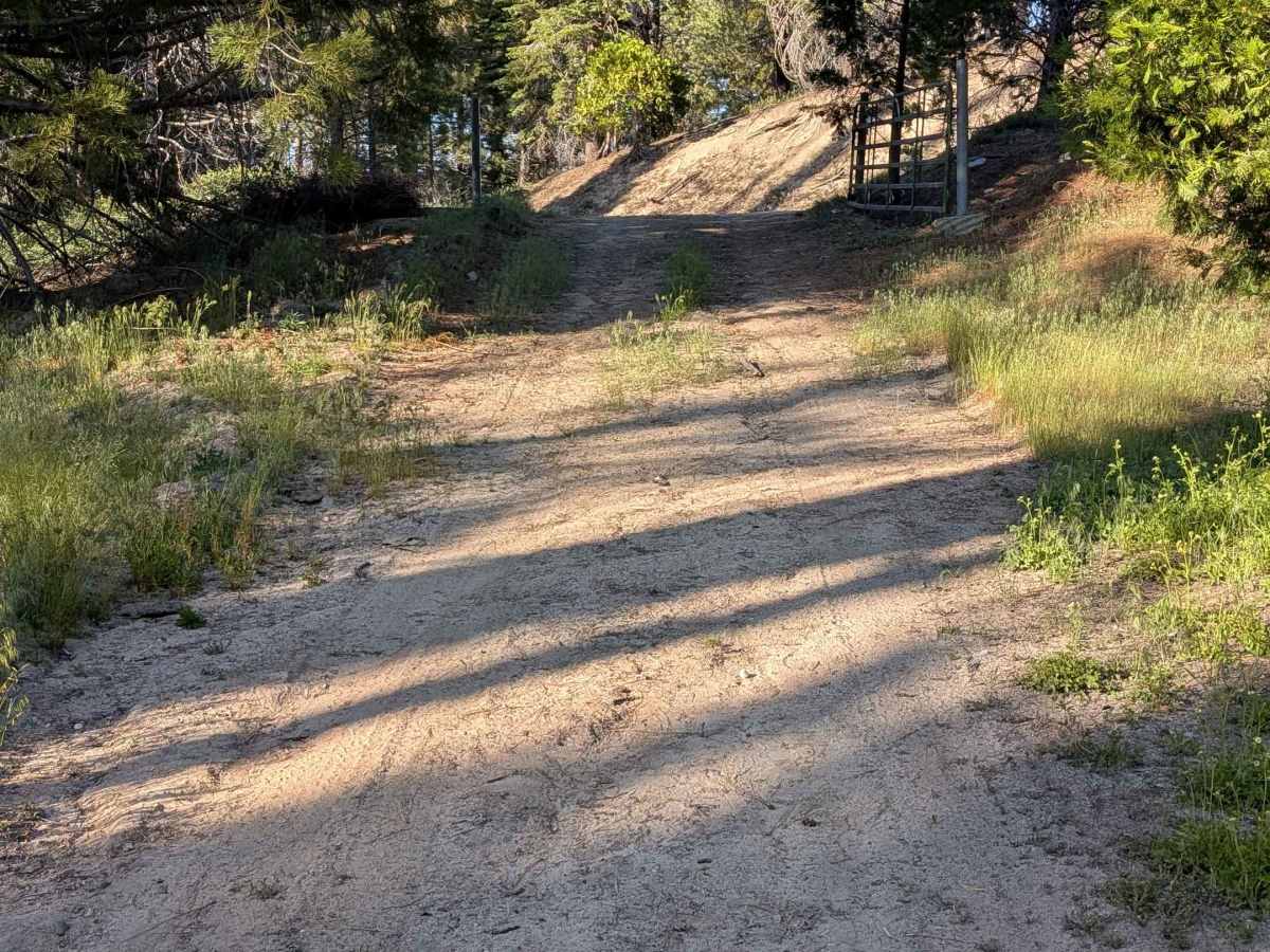 Redwood Meadow - FS 22S13 photo 6