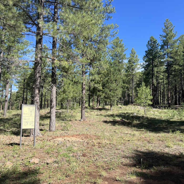 Near Lake Mountain Trail