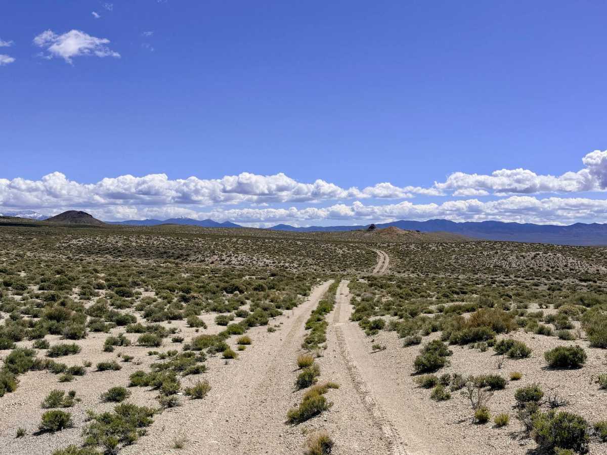 Bank Spring - FS 44450 trail photo