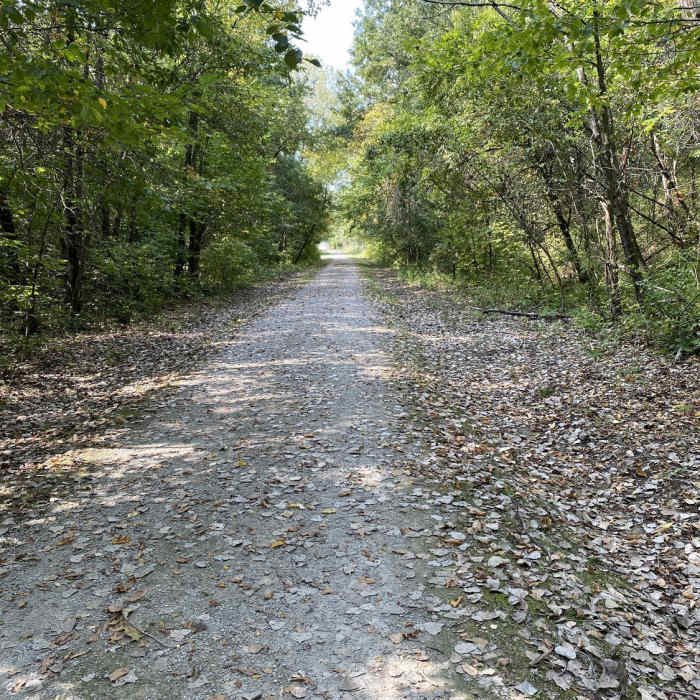 Near Fairfield Loop Trail
