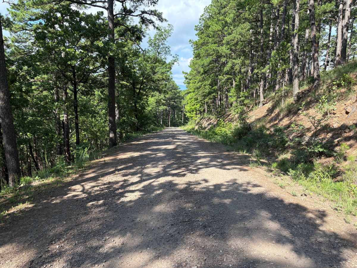 Blue Bird Lane trail photo