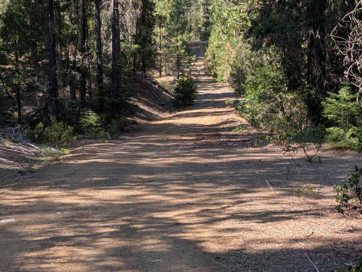 Naufus Creek Road - FS 1N09 photo 3