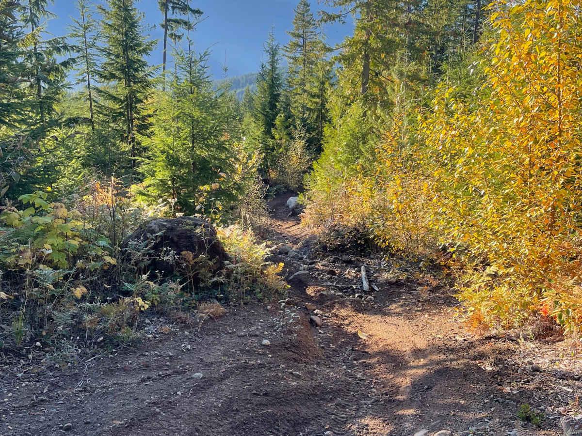 Deep Woods Part 2 photo 4