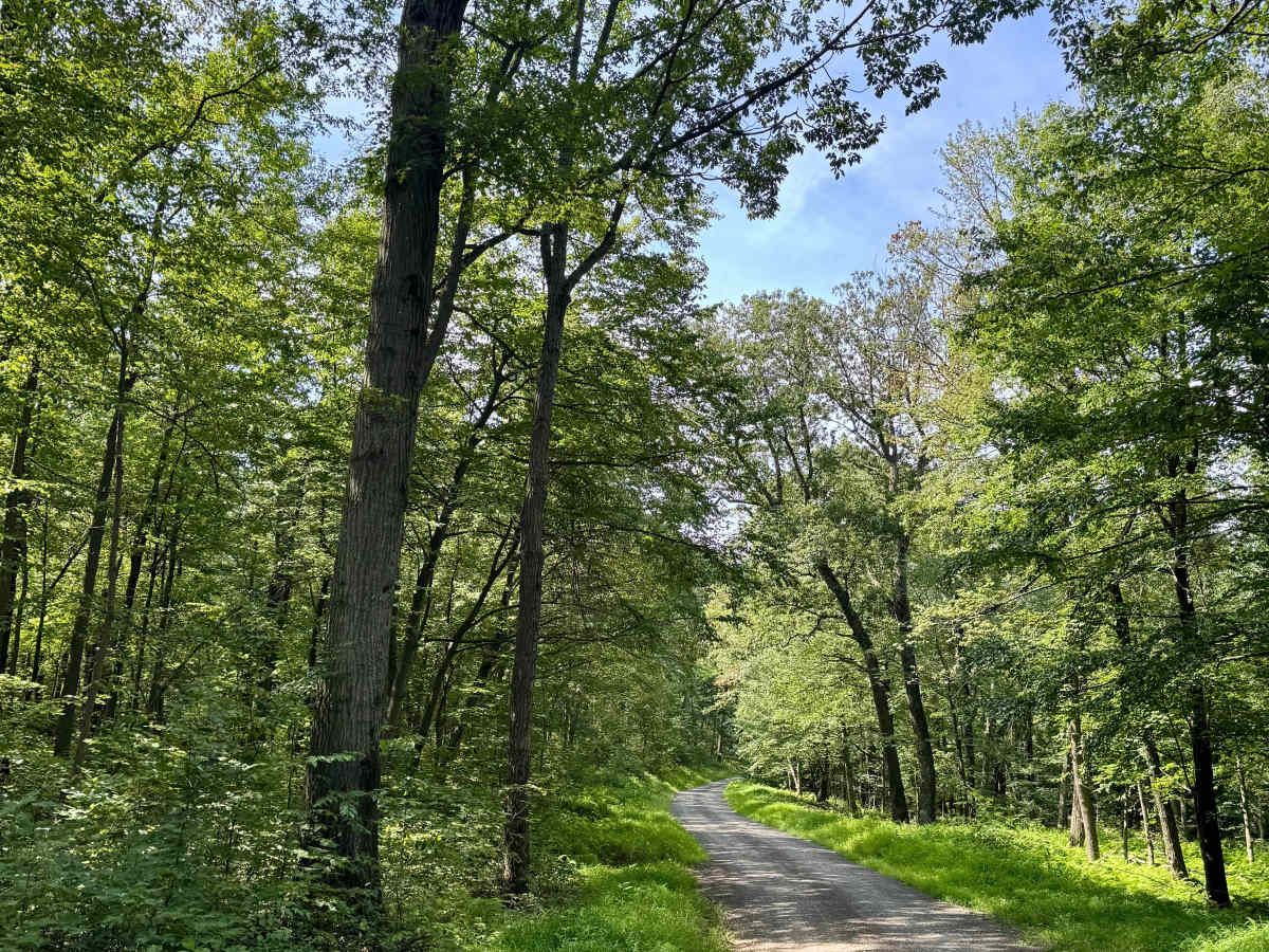 High Rock Road trail photo