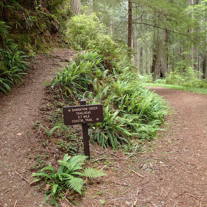 Near Coastal Trail: Last Chance