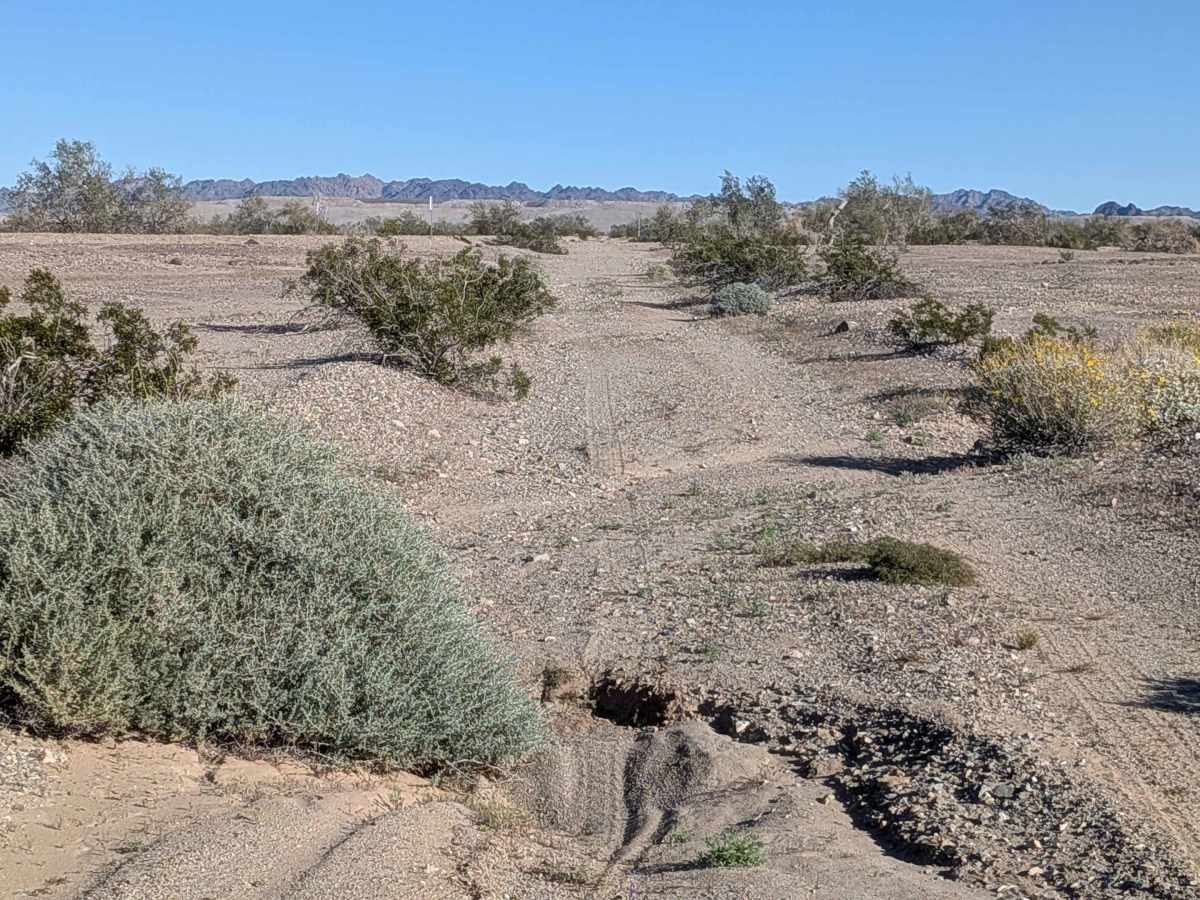 BLM 619 trail photo