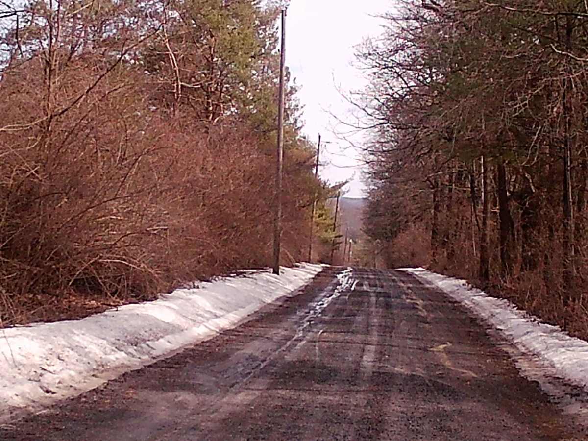 Fourth Gap Road trail photo
