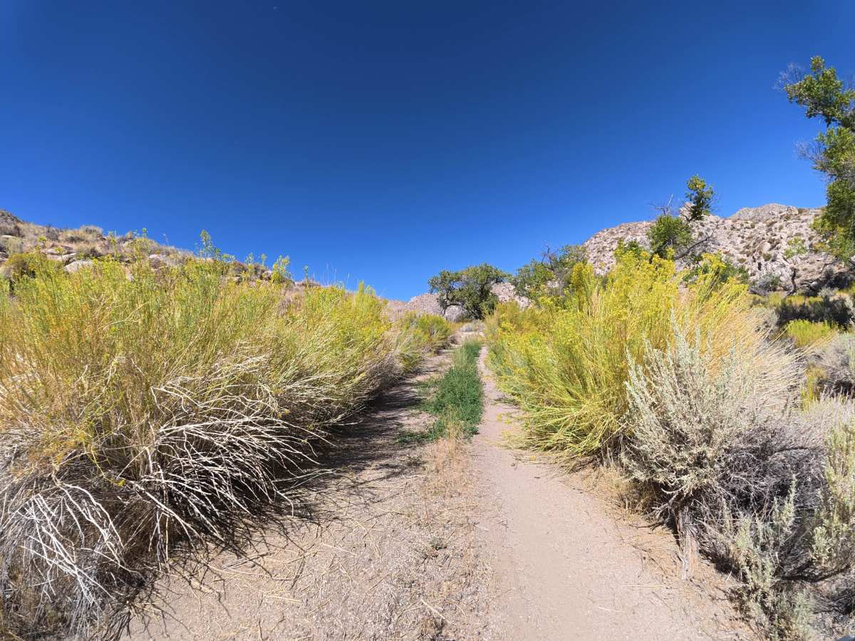Cottonwood Creek Road photo 6