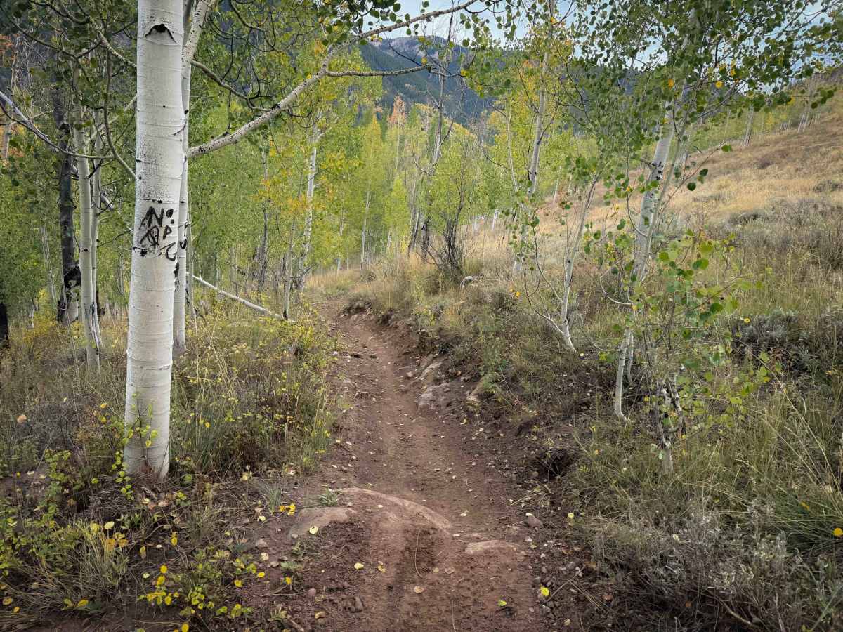 Warm Springs Trail 406  photo 4