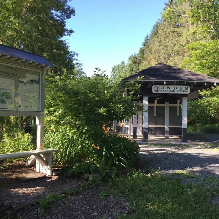 Near Andes Rail Trail & Bullet Hole Spur