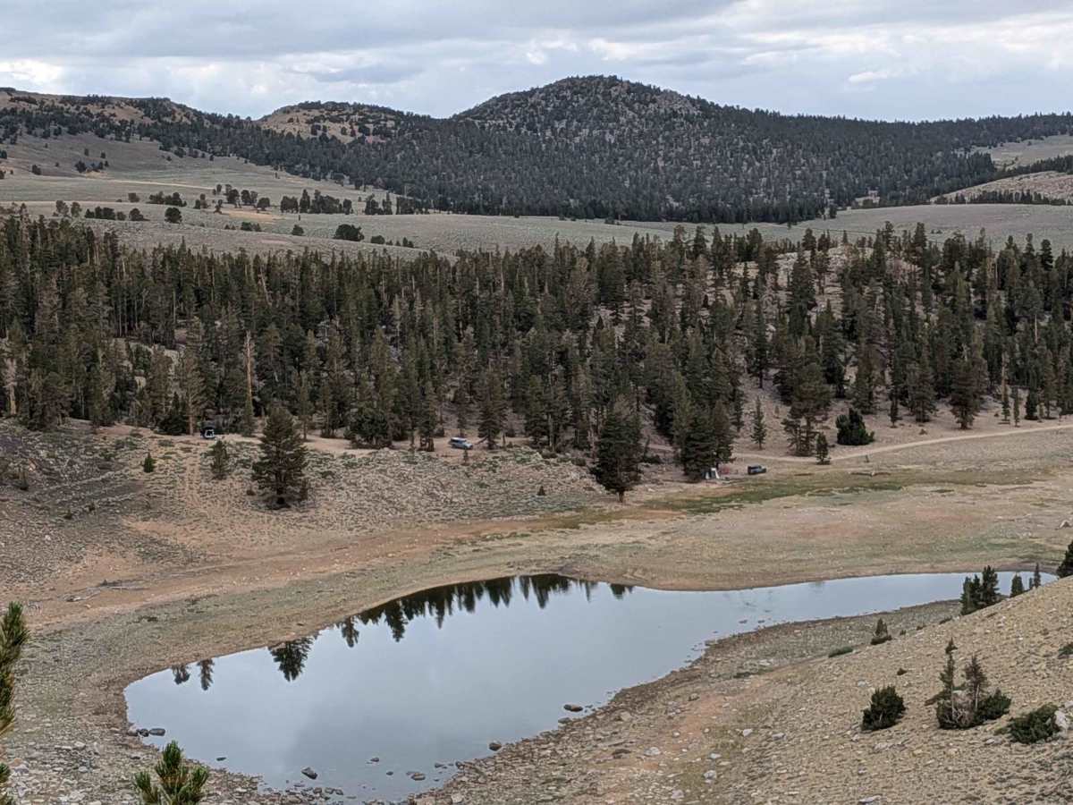 Coyote Lake Trail - FS 31E304 photo 6