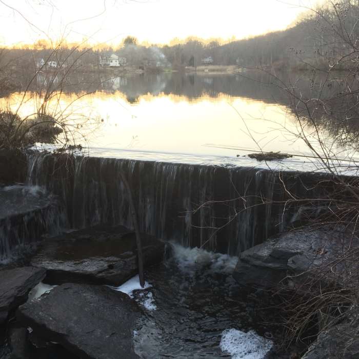 Near Blue Trail