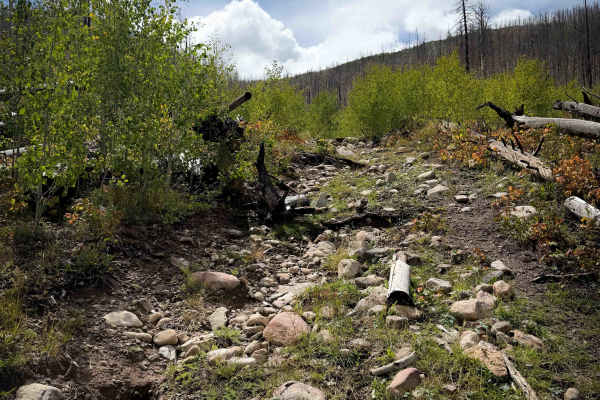 Agua Piedra Trail - FS 19A 