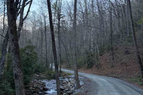 Avery Creek - FS 477