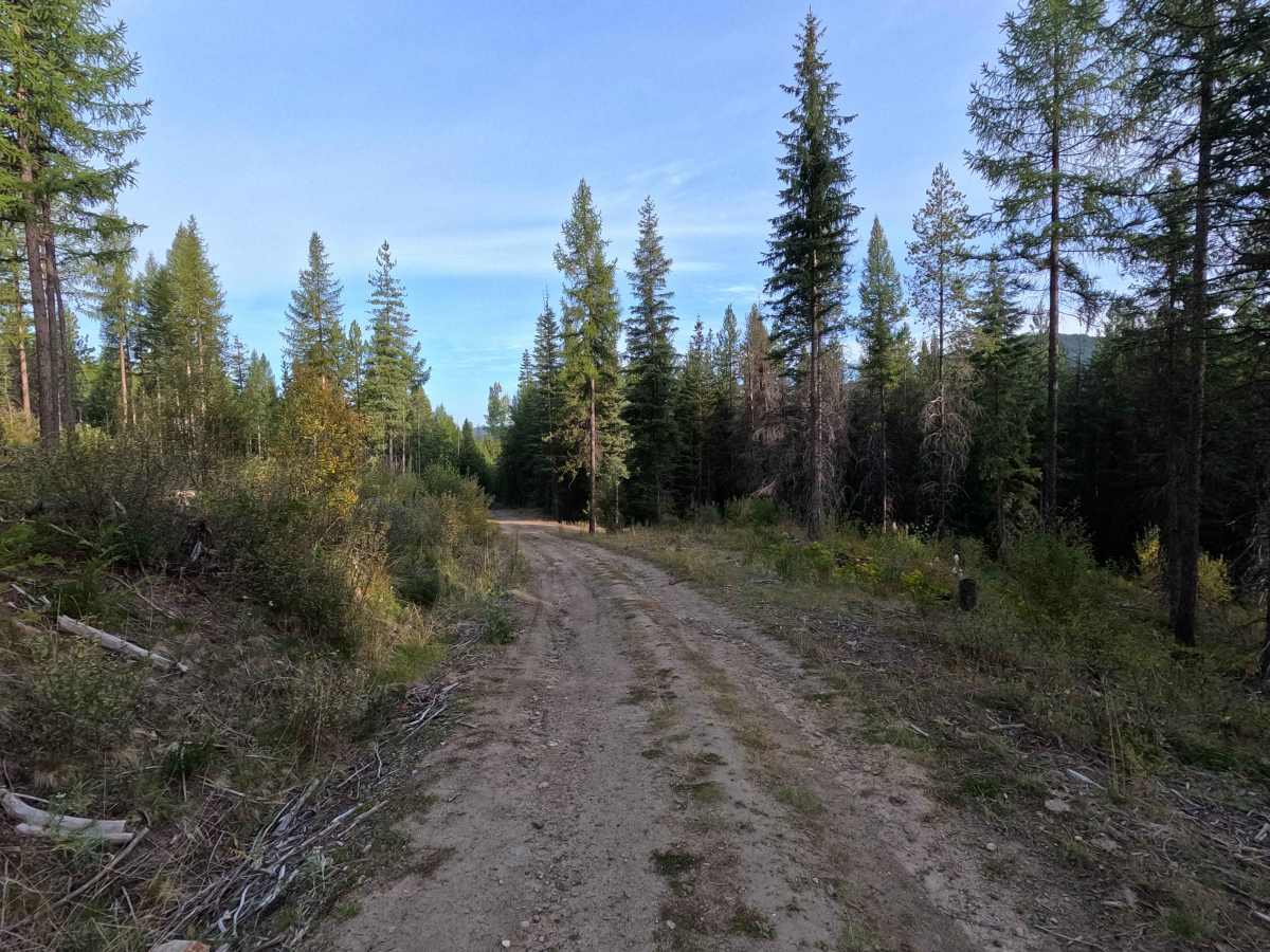 Johnson Creek - FS 7005350 photo 3
