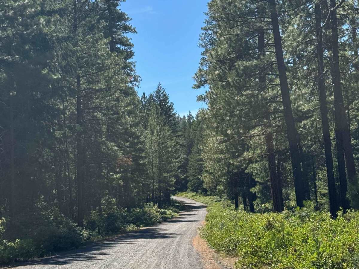 Suttle Lake South - FS 2066 photo 2