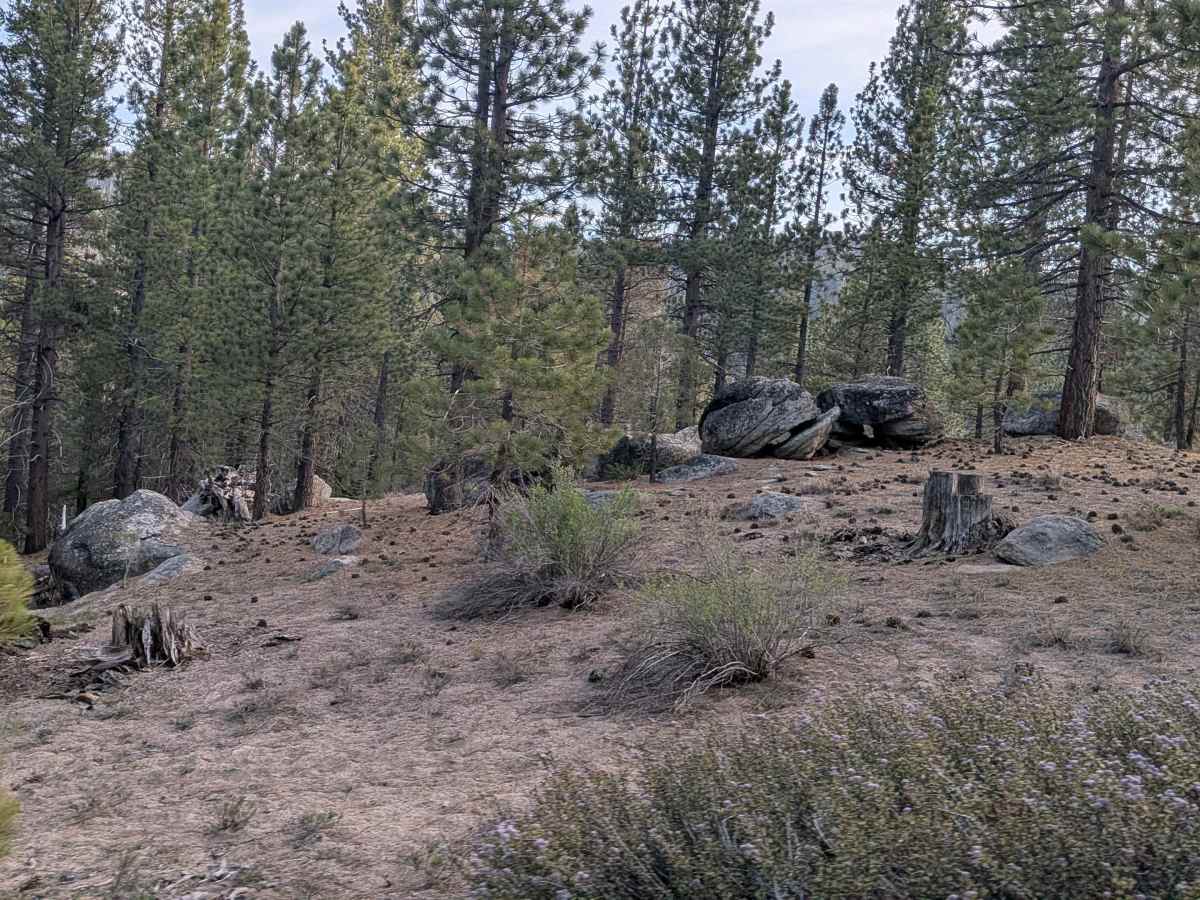Horse Meadow Spur - FS 23S10A photo 4