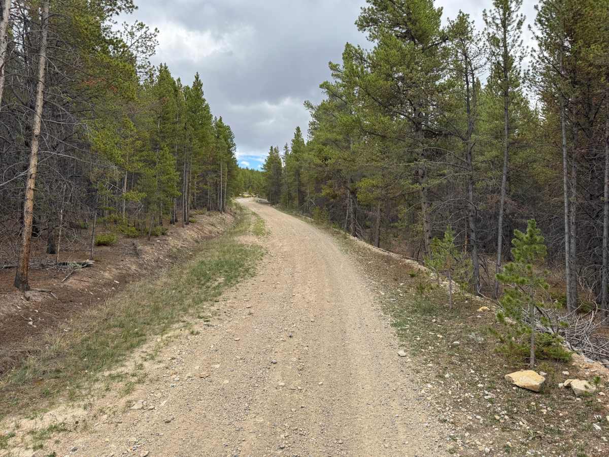 Mineral Belt Road photo 3