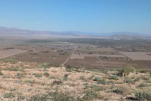BLM SE143