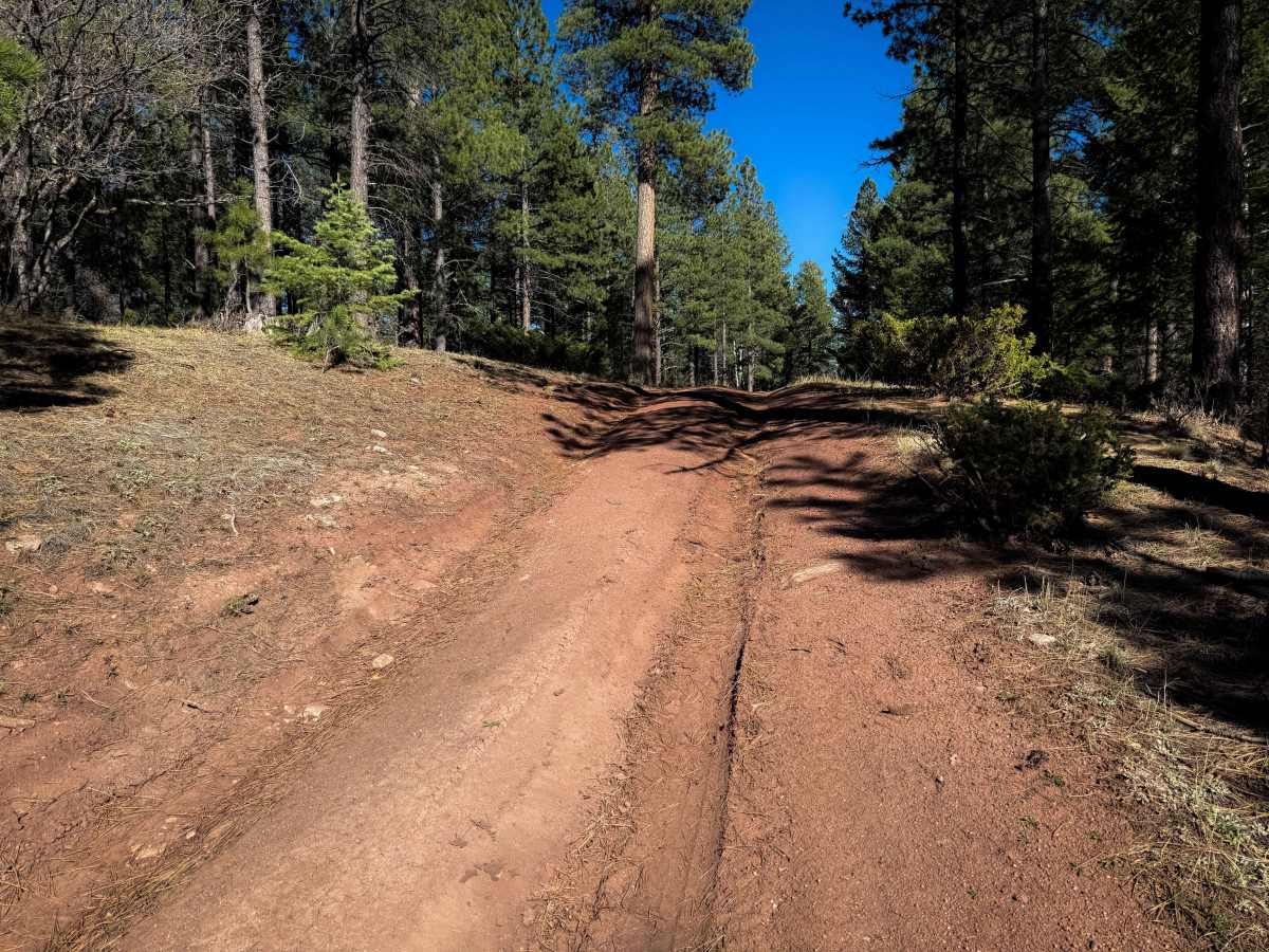 Windy Trail - 612  photo 3