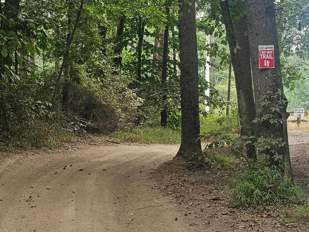 Trail 10 photo 5
