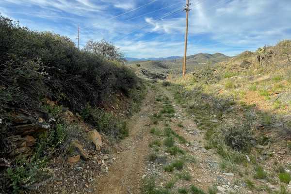 Highway Tank Trail 