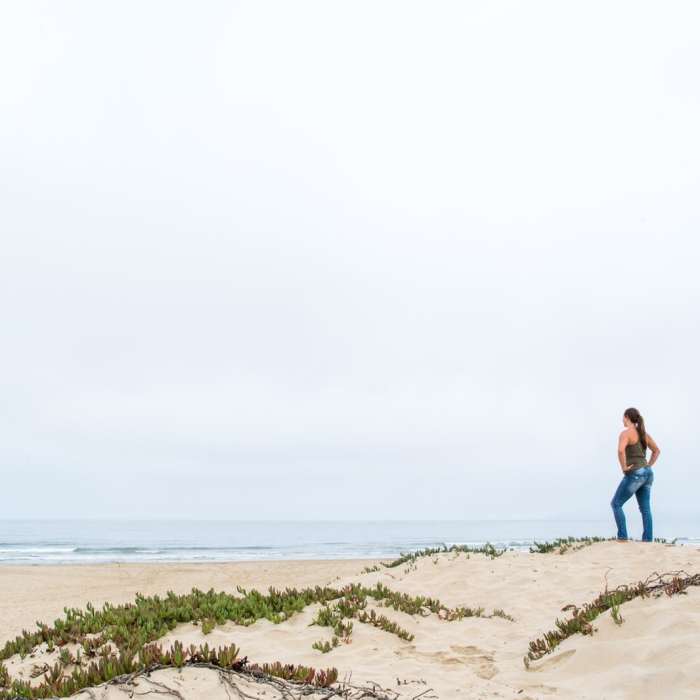 Near Monarch Butterfly Grove + Meadow Creek Trail