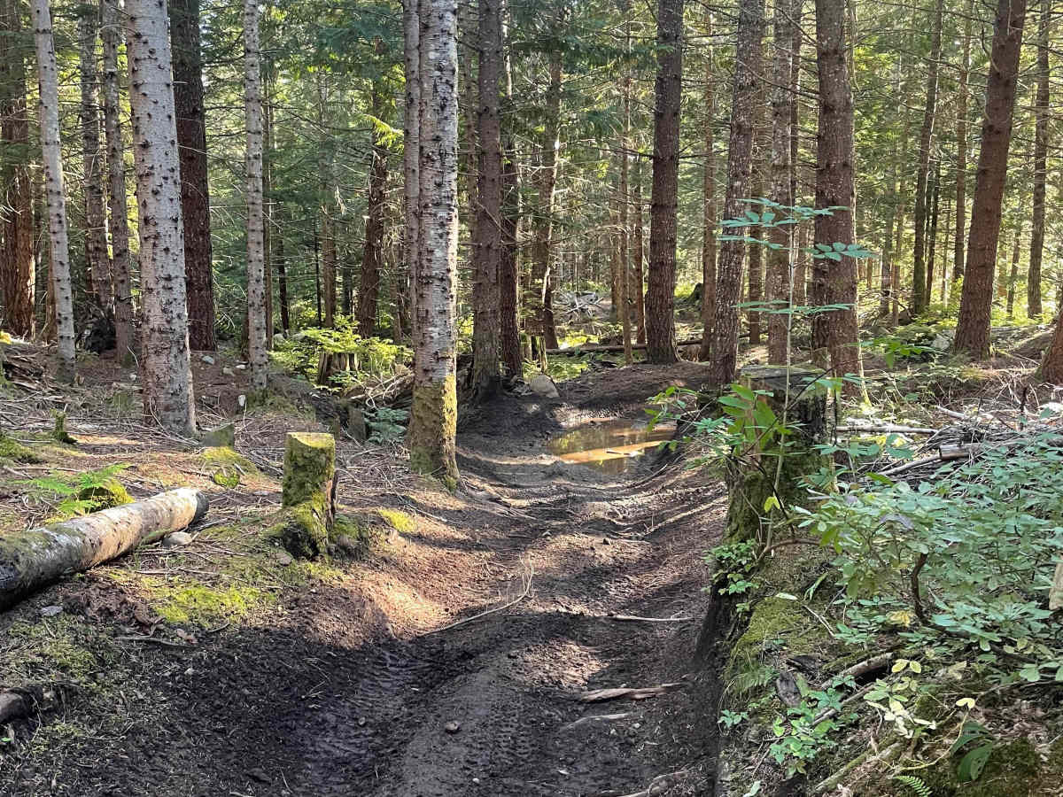 Doubletrack #5 photo 5