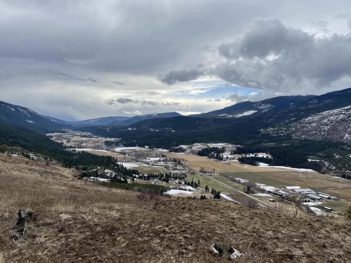 Mt. Ida Lookout photo 2