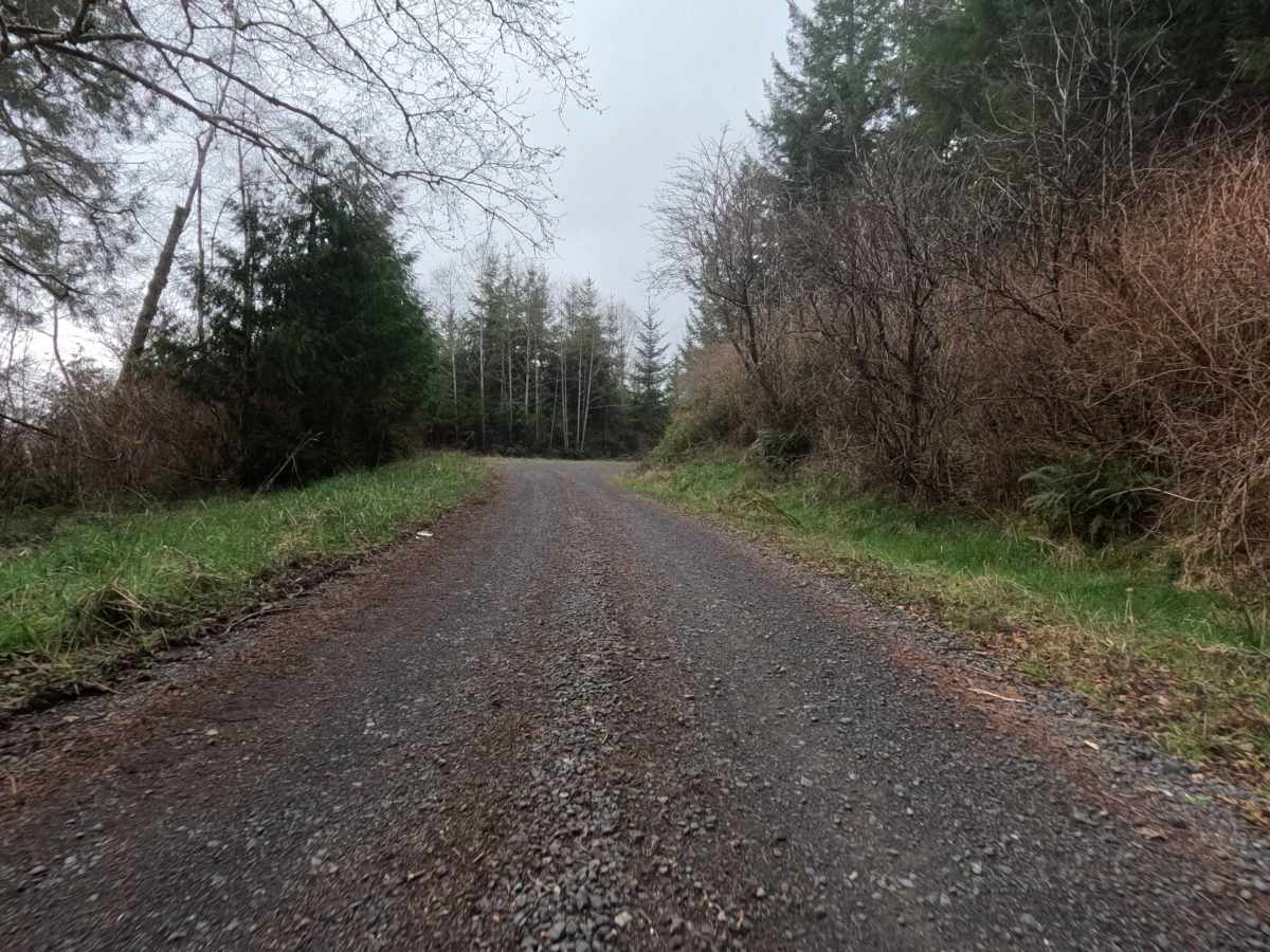 3000 Road photo 5