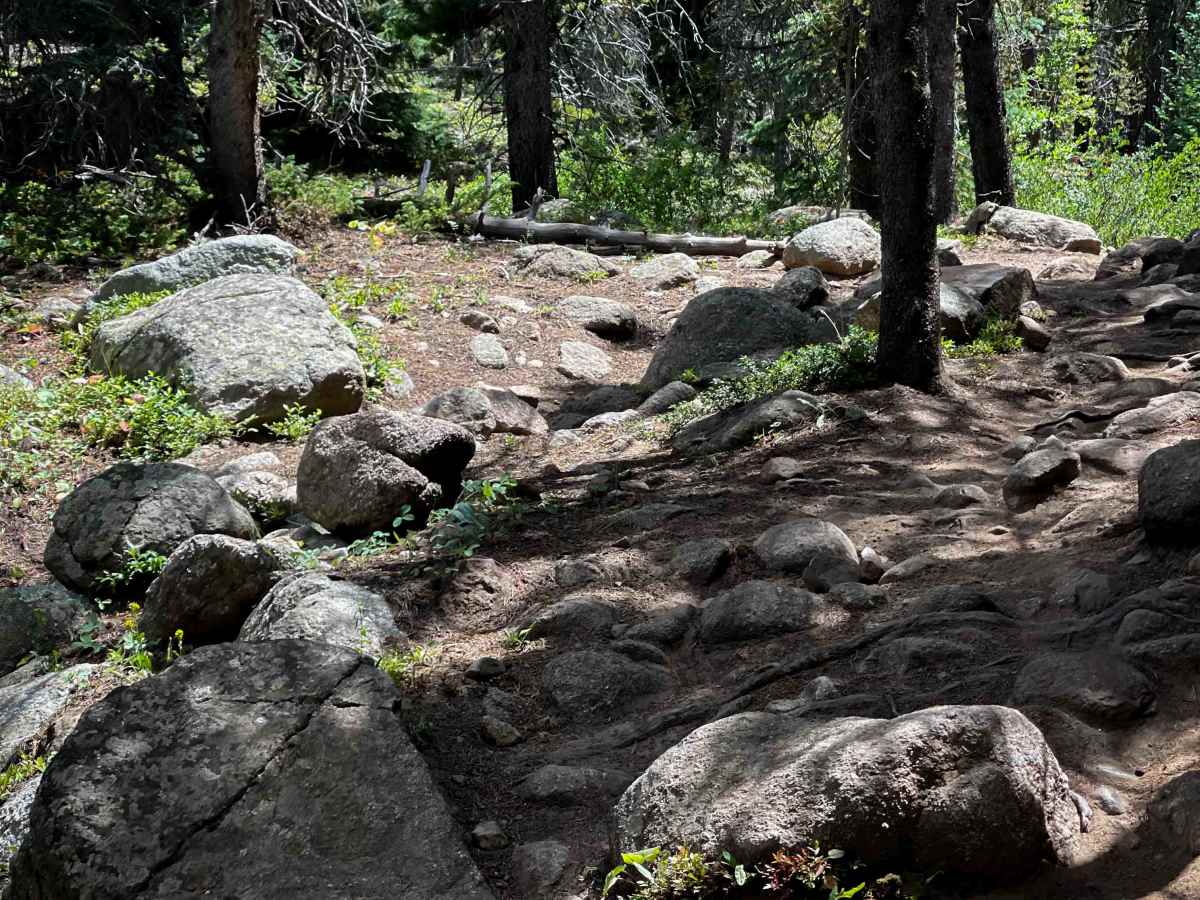 Lily Pond Trail trail photo
