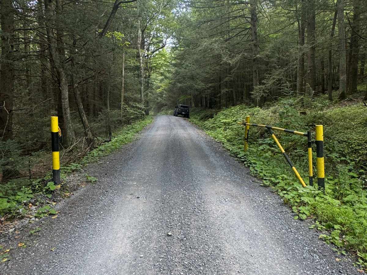 Lower Pine Bottom Road photo 2