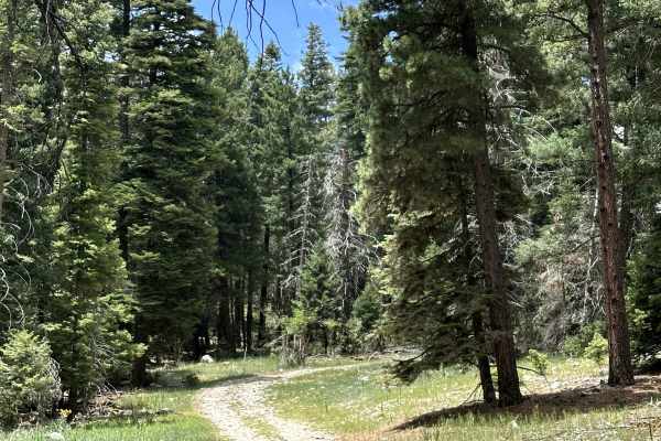 Karr Canyon