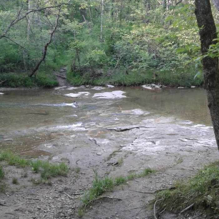 Near #2 Connector Trail
