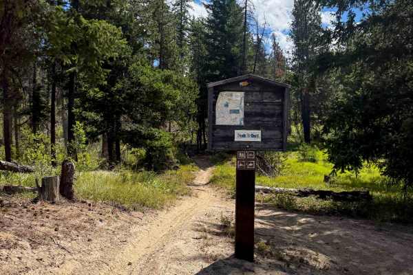 Tronsen Meadows - FS 1205