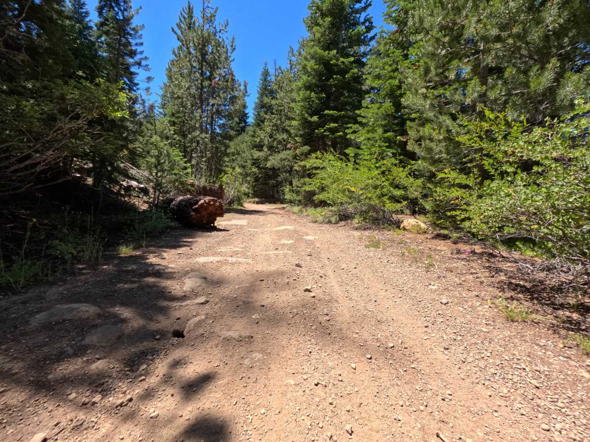 Wells Road trail photo