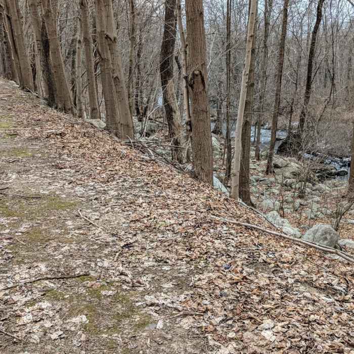 Near Lake Hopatcong Trail: Morris Canal to Prospect Point