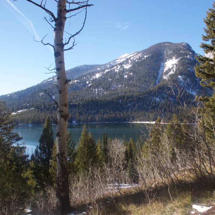 Near Bradley - Taggart Loop