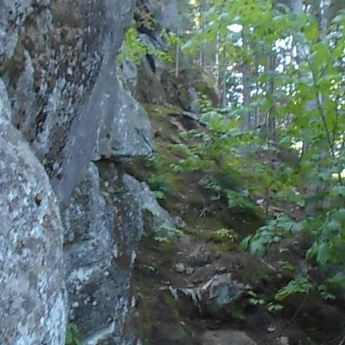 Near Cobble Hill Short Trail